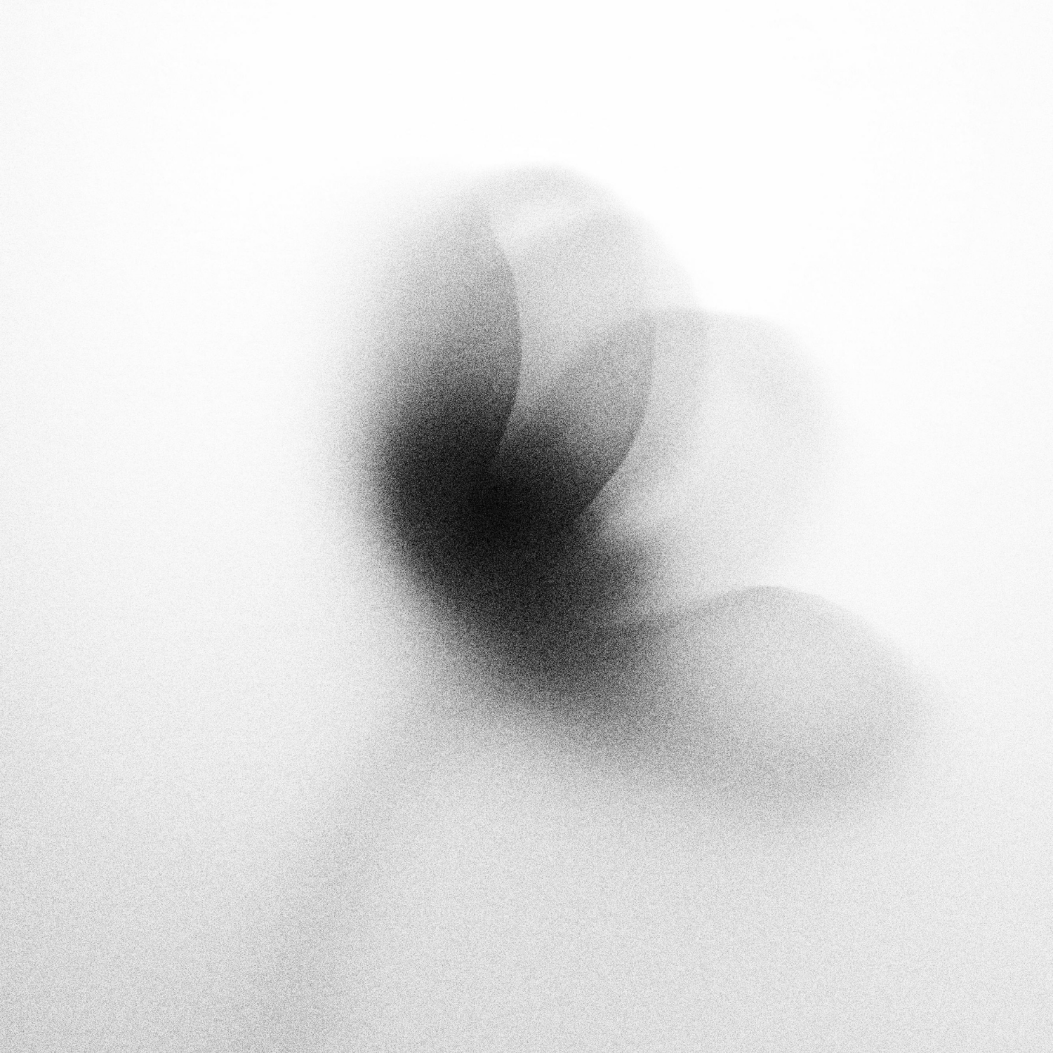 RADICI - Digital Edition (.WAV form)